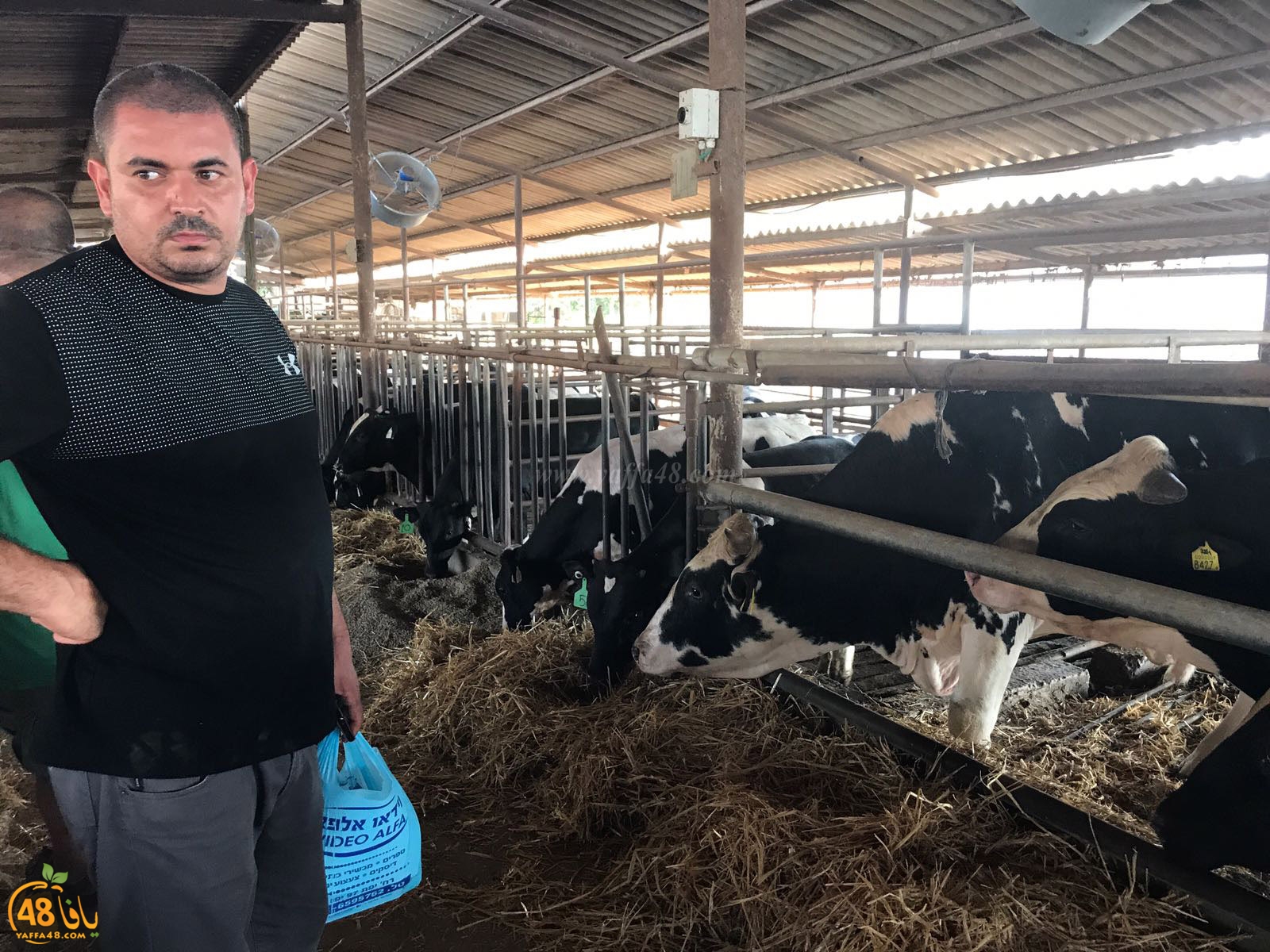 3jool jam3iya yaffa (2).jpg